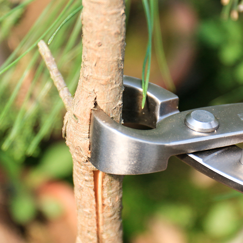 鼎木盆景拿弯造型专用工具制作破杆钳开枝剪根切剪不锈钢粗枝拿弯