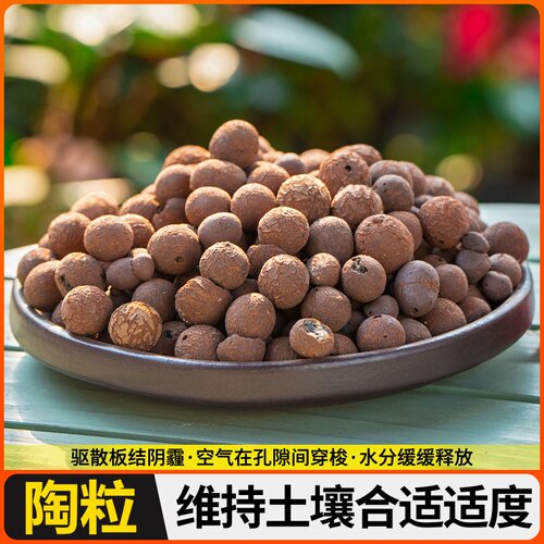 园艺陶粒通用鲜花绿植垫疏水透气防止烂根颗粒土多肉园艺环保优质