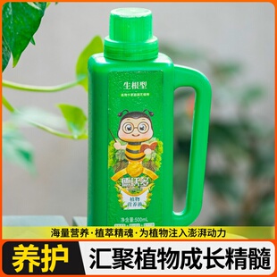 种球专用营养液水仙种球朱顶红百合郁金香风信子风雨兰肥料营养液