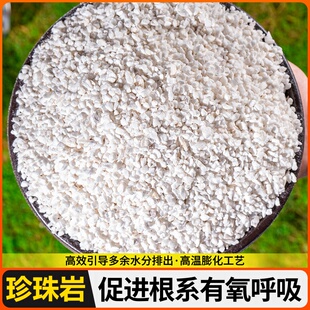 园艺珍珠岩蛭石沙子颗粒兰花植料育苗河沙粗沙土种植花肥营养土粒