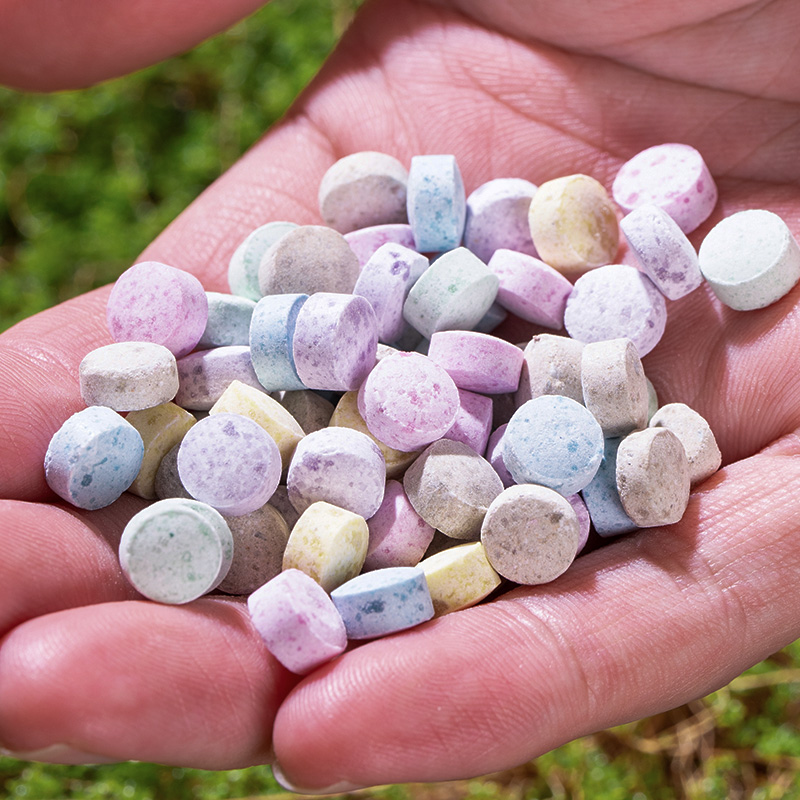 缓释肥料氮磷片绿植棒状植物营养棒增强营养治黄页治病菌治烂根F