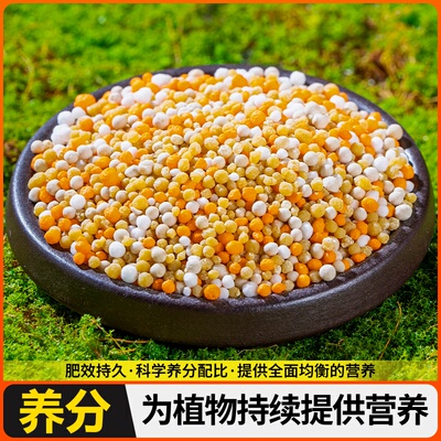 花草博士多肉适用控释肥家用花卉营养肥料通用植物颗粒缓释肥花肥