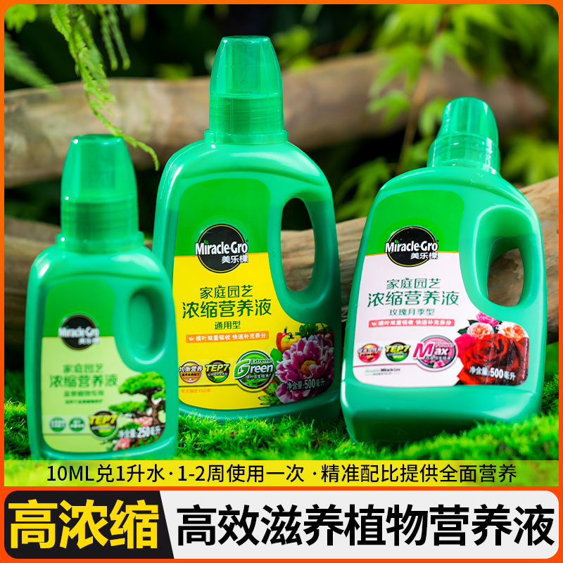 竹子专用营养液水培植物通用型室内盆栽绿植液体肥料预防叶子发黄