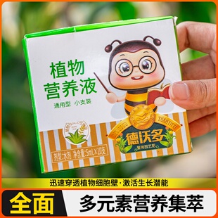 水培植物营养液通用型春羽袖珍椰子米竹玛丽安棕竹金钻竹芋水生花
