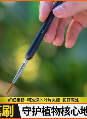 授粉毛笔授粉刷授粉点子笔蔬菜授粉笔果树盆栽人工授粉等包邮送材