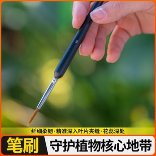 授粉毛笔授粉刷授粉点子笔蔬菜授粉笔果树盆栽人工授粉等包邮送材