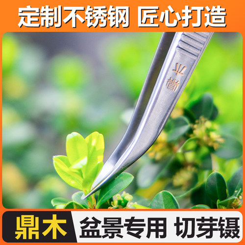 鼎木叶芽小枝剪盆景剪刀修剪芽剪切芽镊芽剪摘芽修枝专业制作工具