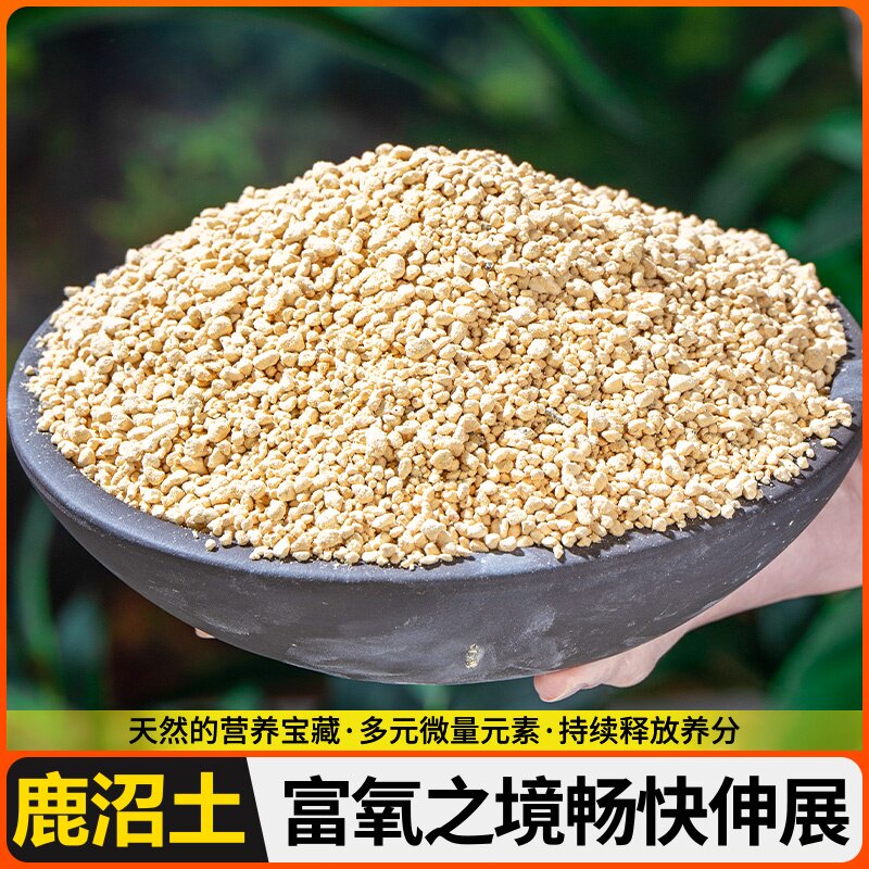 多肉植物铺面基质颗粒土鹿沼土赤玉土植金石日向石火山岩硅藻土专