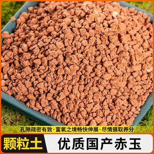 颗粒硬质赤玉土金松土正品多肉盆景专用爬宠铺面营养土大包装专用