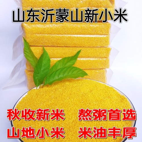 黄小米新米农家沂蒙山月子米小米粥小黄米优质食用山东小米