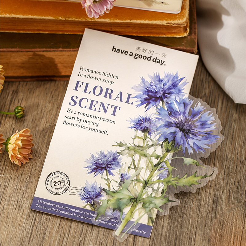 美好的一天PET贴纸 花香满园  大尺寸植物花朵野花矢车菊手帐装饰