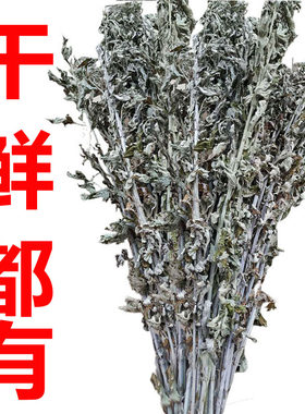 大艾叶中药材新鲜艾草叶整颗端午全株艾草野生干艾叶泡脚泡澡驱蚊