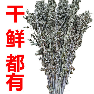 大艾叶中药材新鲜艾草叶整颗端午全株艾草野生干艾叶泡脚泡澡驱蚊