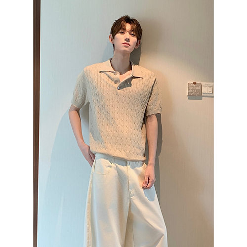 HN26ss【polo领麻花针织】老钱纯色短袖T恤男宽松百搭休闲半袖夏