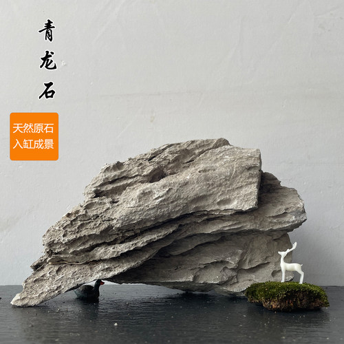 青龙石造景石一物一拍鱼缸石头