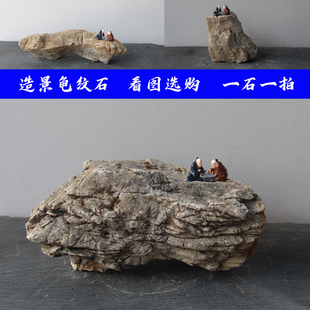 精选天然龟纹石山水盆景石鱼缸造景石桌面景观阳台花箱装饰真石头