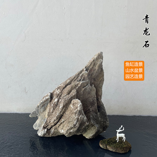 青龙石造景石一物一拍鱼缸石头