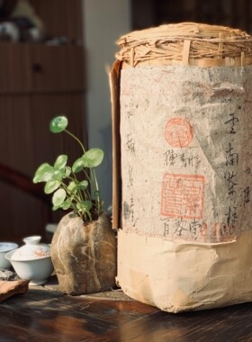 百茶堂茶柱100克茶样0406昔归苔藓冰岛临沧茶普洱茶生茶古树纯料