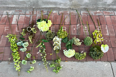 空气草仿真绿植吊顶金鱼草