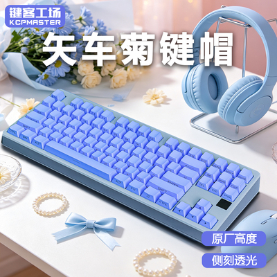 KCPMASTER矢车菊蓝侧刻透光键帽