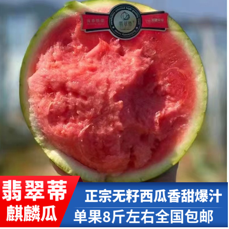 现货翡翠蒂西瓜 无籽麒麟瓜红壤1个装新鲜水果冰淇淋瓜顺丰包邮