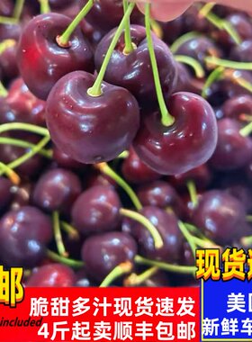 美国芝华士车厘子红车5斤新鲜樱桃当季新鲜水果进口车厘子包邮