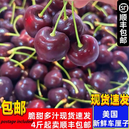 美国芝华士车厘子红车5斤新鲜樱桃当季新鲜水果进口车厘子包邮