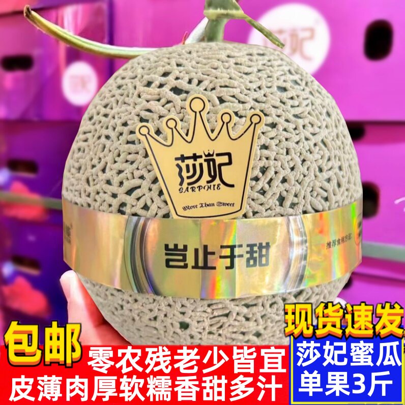现货高端水果莎妃蜜瓜甜瓜礼盒装6只爆纹甜口蜜网纹瓜哈密瓜包邮