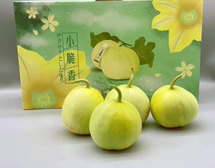 正宗马连庄甜瓜新鲜应季时令水果礼盒小香瓜蜜宝甜瓜甜宝孕妇水果