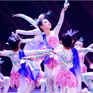 晓春飞蝶舞蹈服少儿群舞六一儿童演出服彩蝶飞蝴蝶舞蹈道具表演服