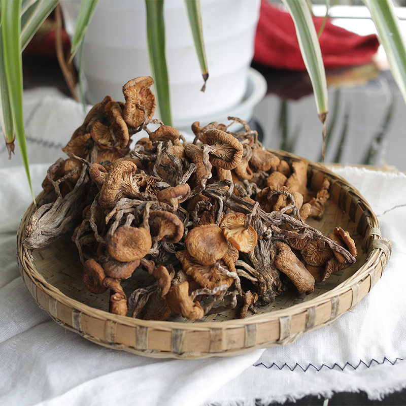 四川青川野生青冈菌农家晾晒干货特产 煲汤蘑菇食用菌250g包邮 粮油调味/速食/干货/烘焙 香菇类 原图主图