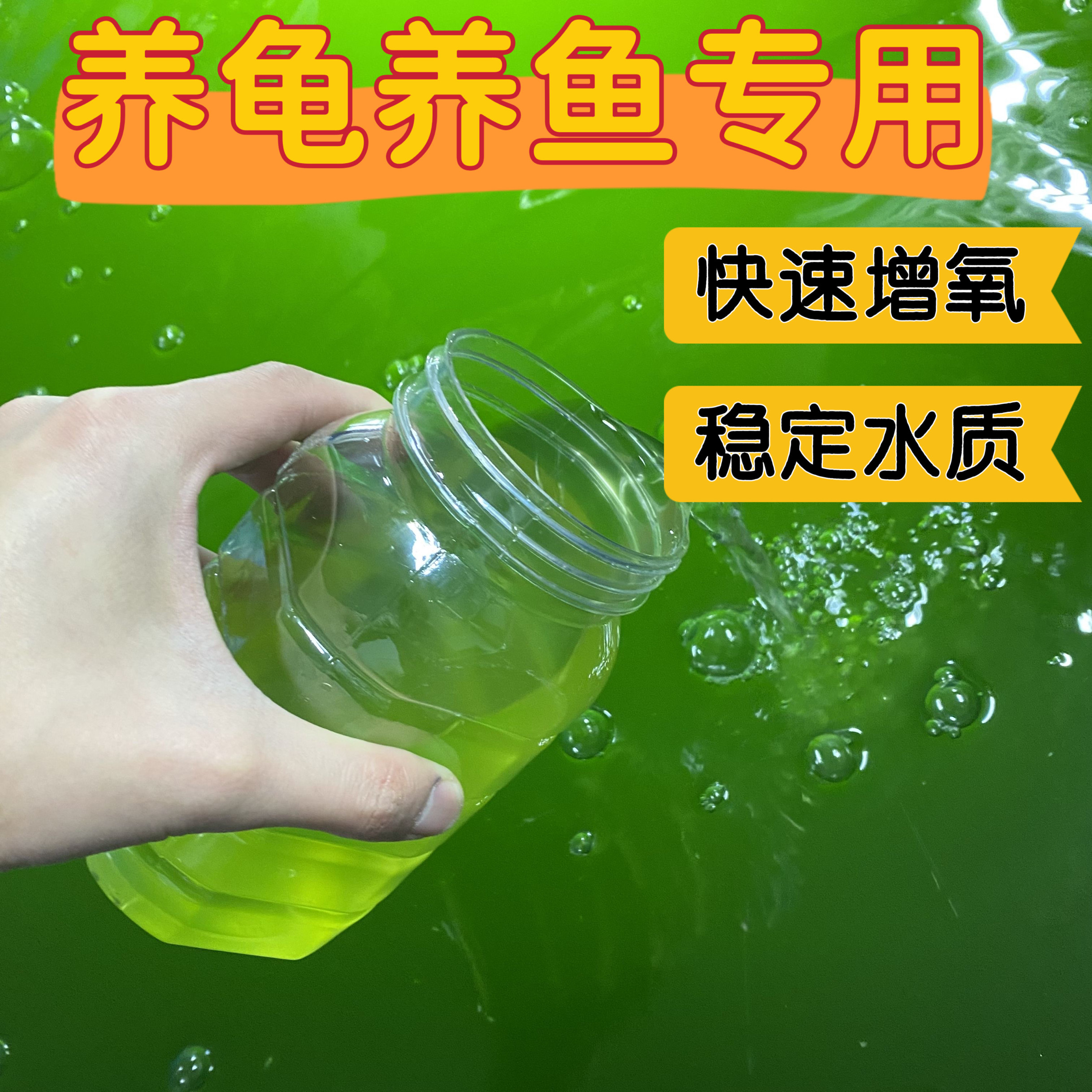 绿水小球藻种养鱼龟增氧肥水培蛋鱼缸水质稳定剂