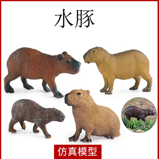 卡皮巴拉土拨鼠动物模型花栗鼠儿童玩具天竺鼠水豚海葵鼠摆件U