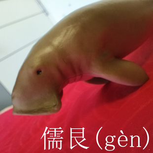 儒艮玩具小孩认知植食性海洋哺乳动物模型海牛目海马似美人鱼摆件