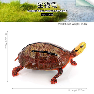 金钱龟模型玩具小孩认知川字背龟动物摆件三线闭壳龟红边龟硬胶