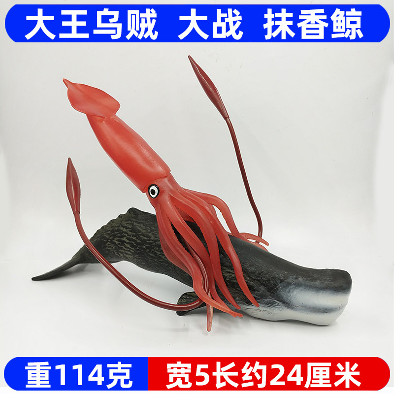 白鲸大王乌贼抹香鲸座头鲸玩具海马龙虾蟹寄居蟹海龟海洋动物模型