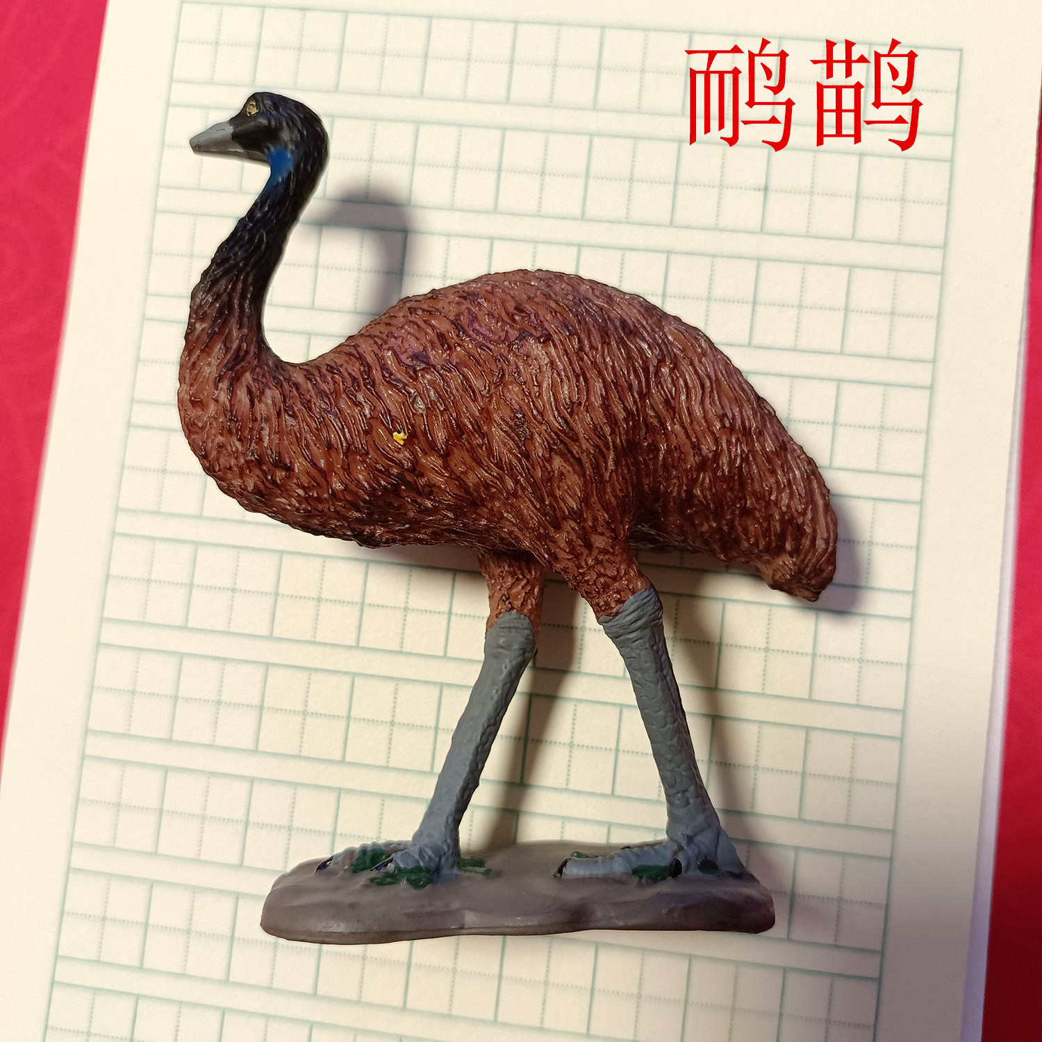 鸸鹋玩具小孩认知澳洲鸵鸟澳大利亚鸵鸟大型鸟类模型实心硬胶摆件