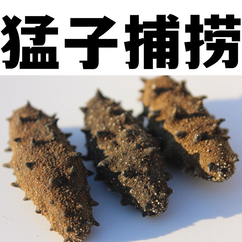 （野）长岛深海底播淡干海参野生晒纯淡干海渗非大连辽刺参250g