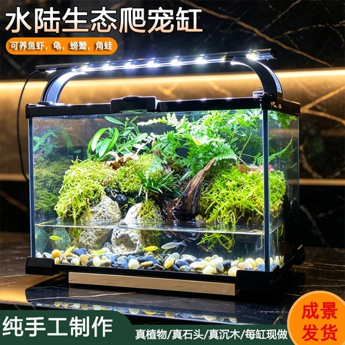 桌面生态雨林缸成品植物造景全套苔藓微景观森林自循环鱼缸景观缸