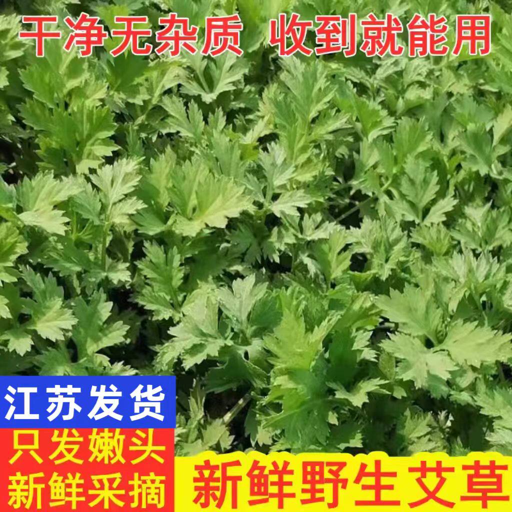 新鲜艾叶艾草青团糍粑清明果嫩图片