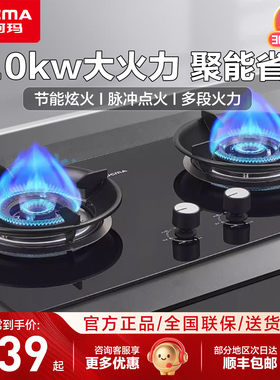 澳柯玛燃气灶5.0KW猛火家用台嵌两用熄火保护大火力聚能3DF17B
