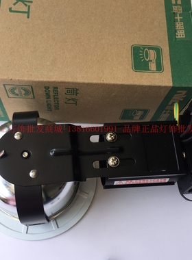 NVC雷士照明TDE73A  雷士筒灯 3寸横装防雾筒灯开孔10公分 白色