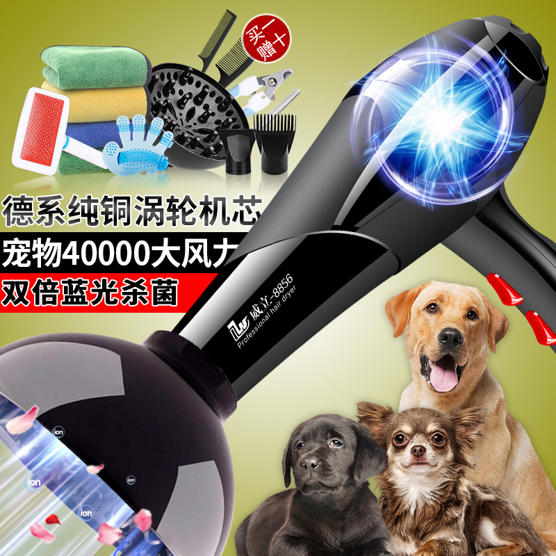 宠物店狗狗吹风机神器速干