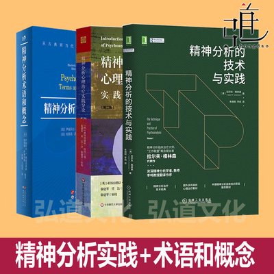 精神分析心理治疗实践导论+精神分析的技术与实践+术语和概念 拉尔夫格林森 临床指导 学派治疗教材书心理咨询治疗师沟通 百科工具