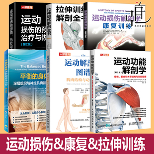 拉伸训练解剖全书+组织神经肌肉徒手治疗+运动损伤解剖学 康复训练+功能解剖学 骨骼关节结构+预防恢复+图谱 体育健身力量教程书