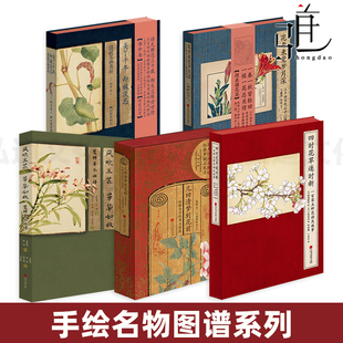 几回清梦到花前 四时花草逐时新 花开未觉岁月深 美了千年 绘本红楼诗经图谱植物手绘 风吹兰芷芳华如故 二十四节气 楚辞草木画谱