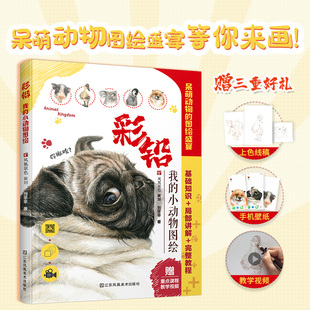 手把手教你超萌小動(dòng)物 彩鉛繪畫技法初學(xué)者色鉛手繪動(dòng)物基礎(chǔ)知識上色技巧素描繪畫基礎(chǔ)技法教程 小動(dòng)物圖繪 我 視頻教學(xué) 彩鉛