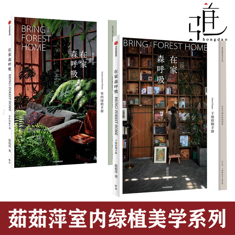 在家森呼吸-室内绿植手册+干燥植物+永生植物  茹茹萍 养护技巧风格搭配指南 养花书 花艺设计家庭阳台客厅园艺家居装饰生活美学