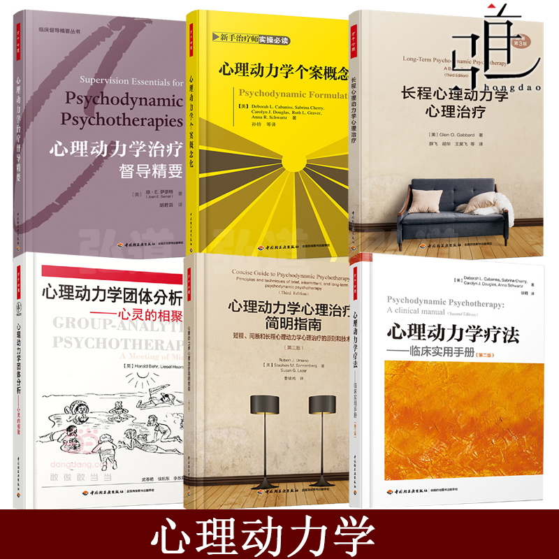 6册 万千心理 心理动力学治疗督导精要+个案概念化+临床实用手册+长程心理动力学心理治疗+心理治疗简明指南+心理动力学团体分析
