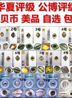 玉贝币贝币公博评级华夏评级摆件